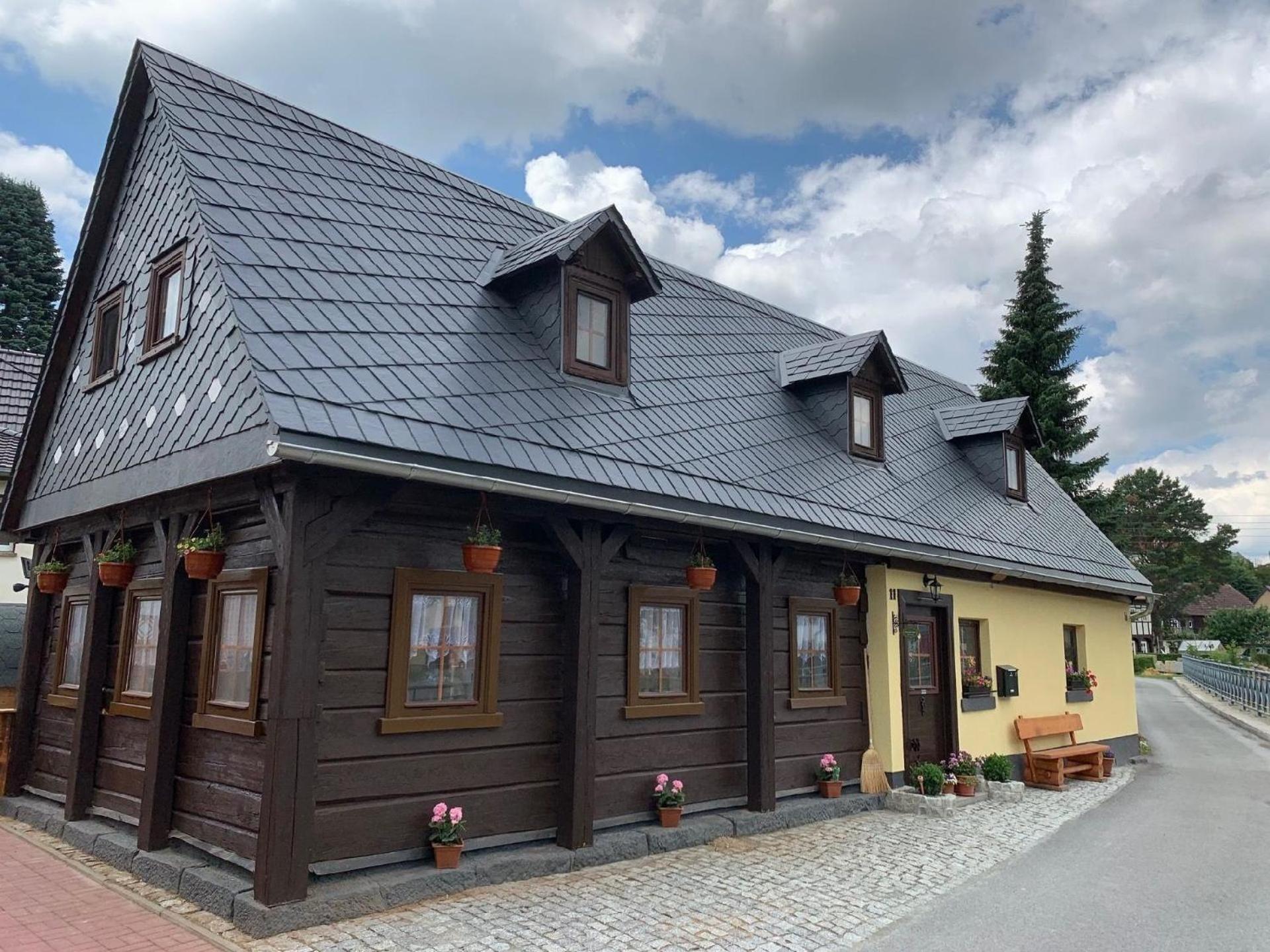 Ferienhaus In Grossschoenau Mit Grosser Terrasse Villa Luaran gambar